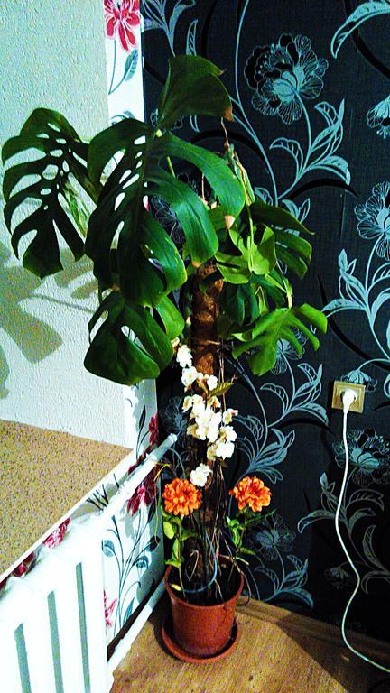 Picturesque Apartment Into Antique Fortress Daugavpils Szoba fotó